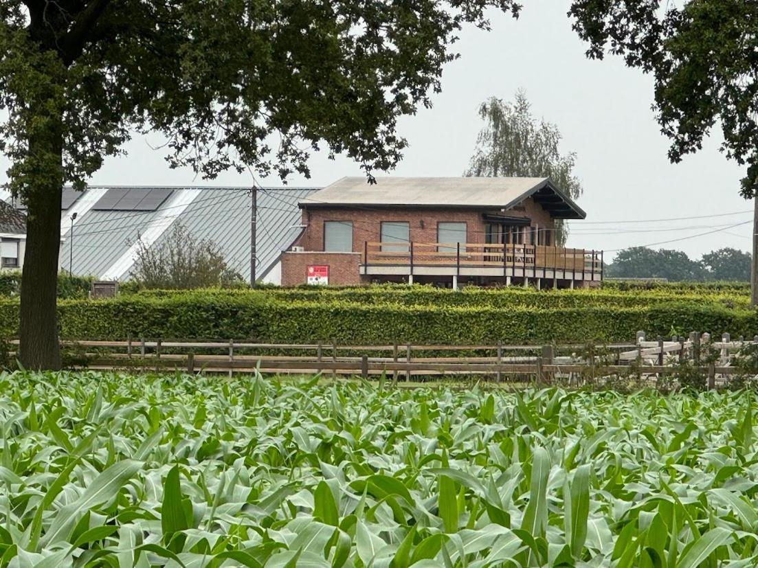 Welkomhoeve Grobbendonk ภายนอก รูปภาพ